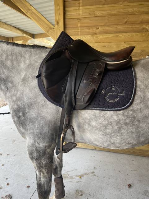 Selle GBS marron 17,5