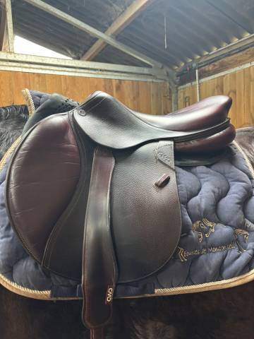 Vends selle mixte 2019 CWD 17,5 avec housse et &eacute;trivi&egrave;r