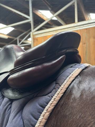 Vends selle mixte 2019 CWD 17,5 avec housse et &eacute;trivi&egrave;r