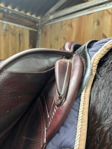 Vends selle mixte 2019 CWD 17,5 avec housse et &eacute;trivi&egrave;r