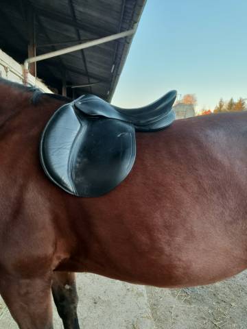 Selle cheval 
