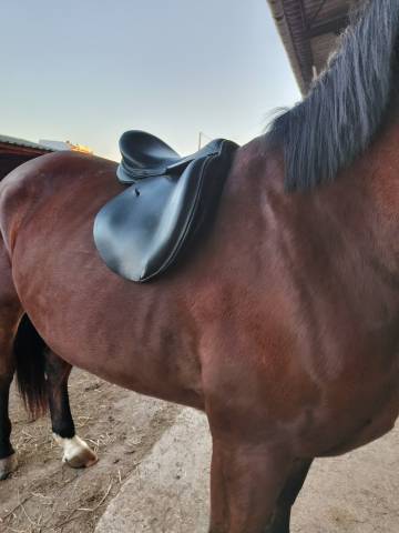 Selle cheval 