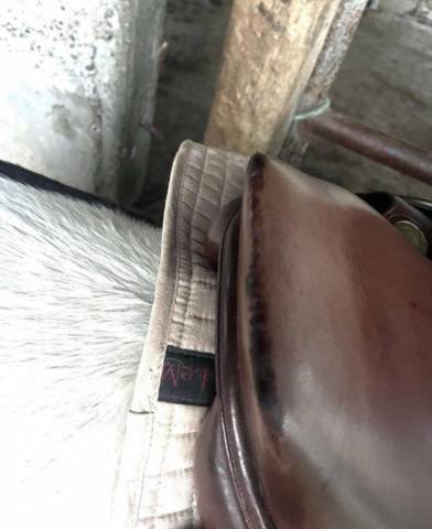 Selle Jean Luc Maurel