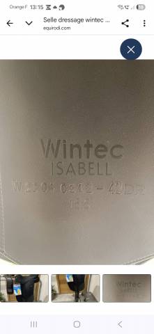 Selle dressage Wintec Isabelle icon hard
