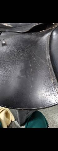 Selle Eric Thomas 17,5