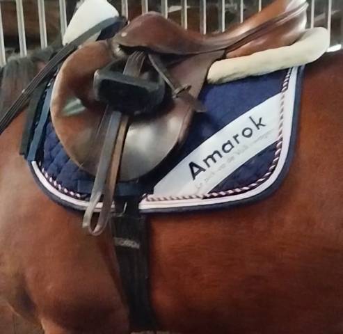 Tapis championnat de France