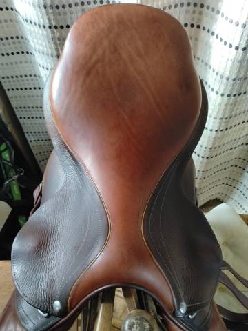 Selle obstacle lamicell