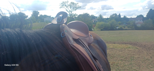 Selle de cheval 18 pouce