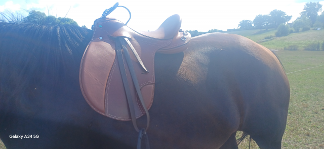 Selle de cheval 18 pouce