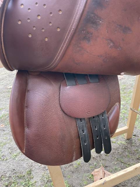 Selle Stubben  mixte