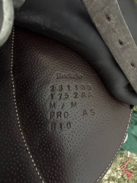 Selle Forestier Boekelo &ndash; 2023 &ndash; Excellent &eacute;tat