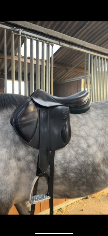 Selle Forestier Boekelo &ndash; 2023 &ndash; Excellent &eacute;tat