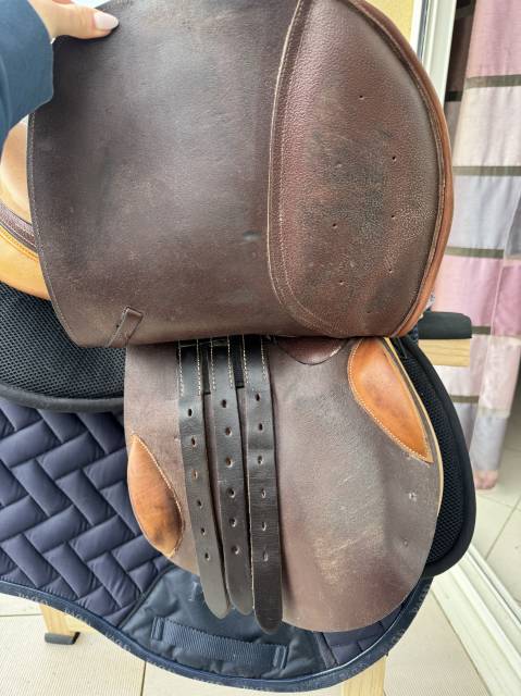 Selle Eric Thomas 17,5 mixte 