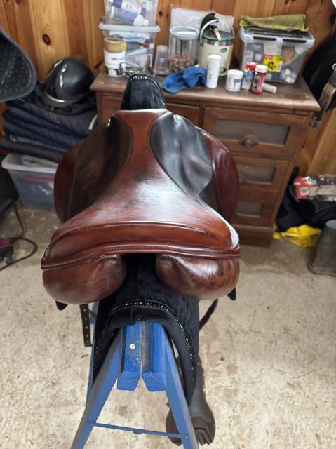 Selle dressage 