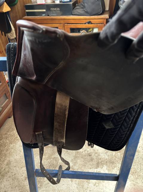 Selle dressage 