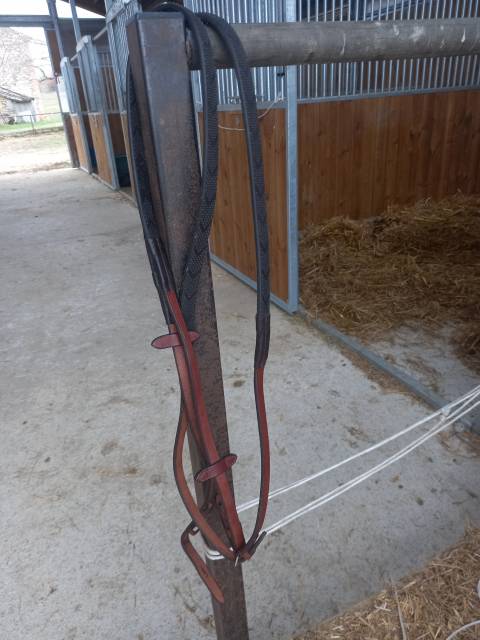 Cause double emploi vends r&ecirc;nes 