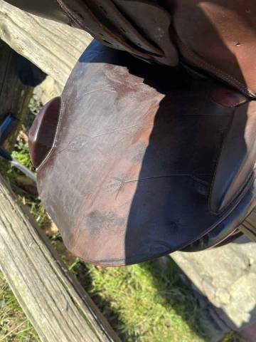 Selle Mixte orient&eacute;e CSO  Henri de Rivel Taille 17.5