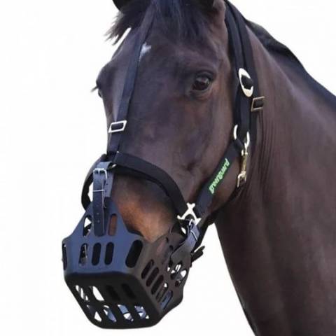 Panier Greenguard noir - Greenguard