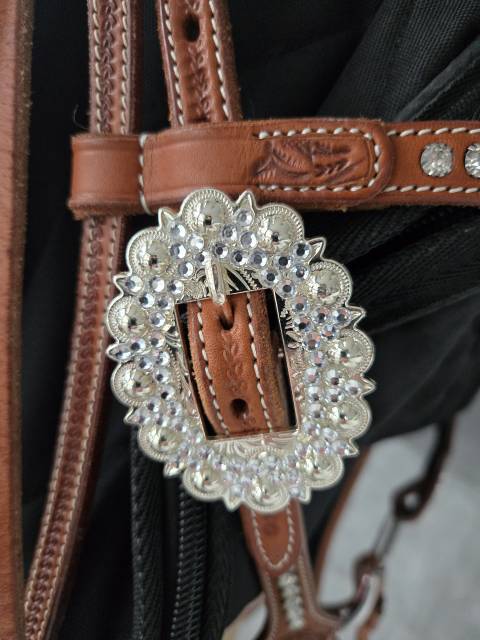 Bridon et collier de chasse western