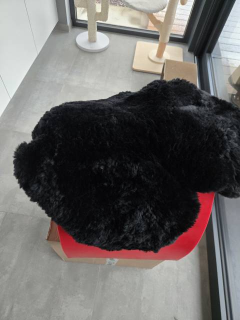 Housse de selle western 