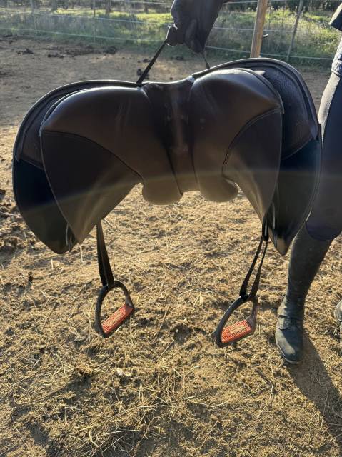 Selle Philippe Fontaine 