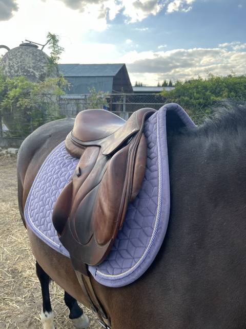 Selle devoucoux chiberta 17"