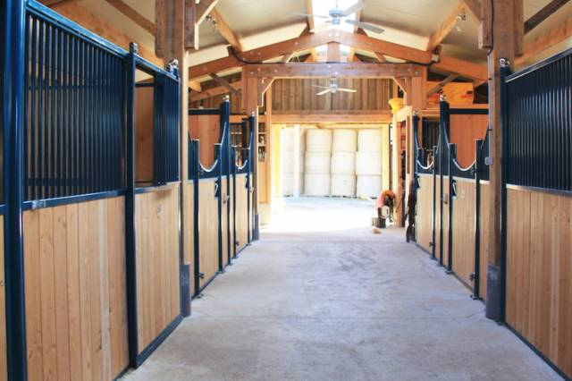 Charmante propri&eacute;t&eacute; d&eacute;ploy&eacute;e sur plus de 45ha (63)