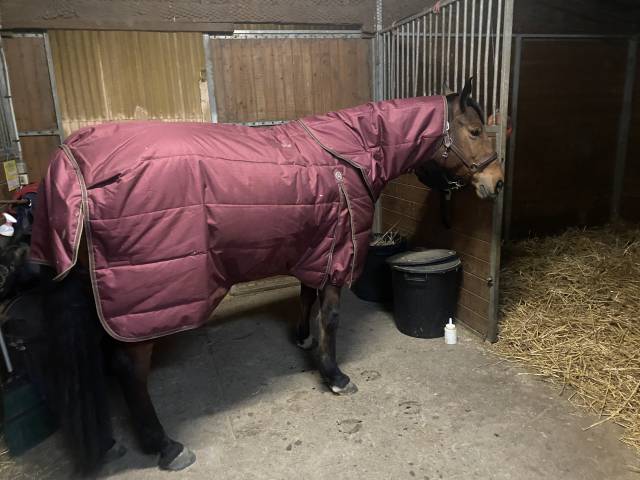 Couverture &eacute;curie Premier Equine 350g avec couvre cou