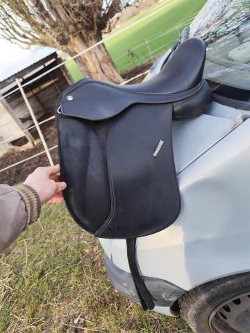 Selle Wintec Pony dressage 16 pouces 