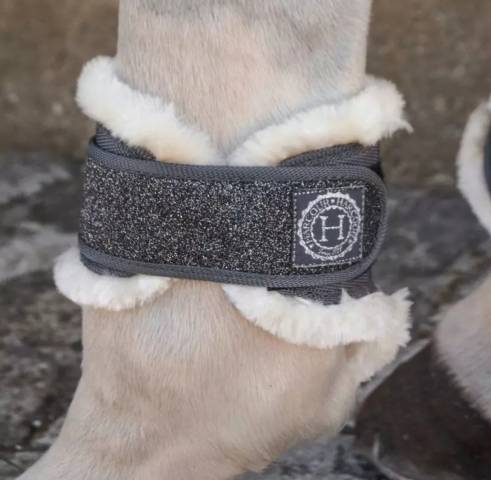 Prot&eacute;g&eacute;s boulets harcour 