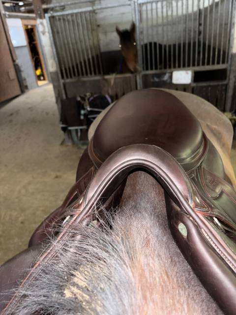 Chiberta Lab 17 pouces 