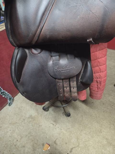 Selle equipe &Eacute;volution 