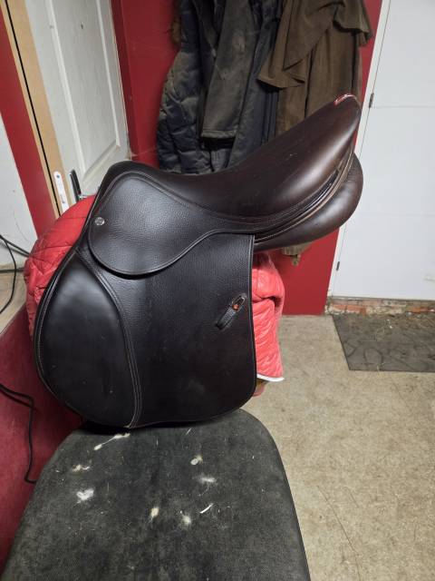 Selle equipe &Eacute;volution 