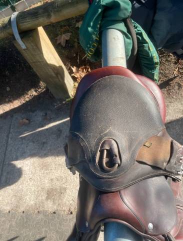 Selle Devoucoux Chiberta O 17