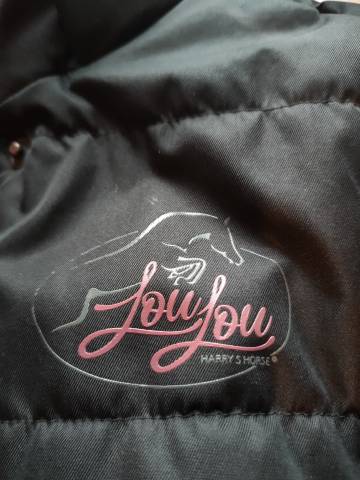 Parka " Harryshorse " Fille 12 ans  