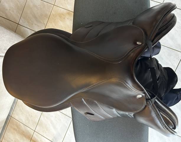 Selle forestier S&eacute;oul 2023