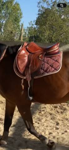 Selle CWD mademoiselle