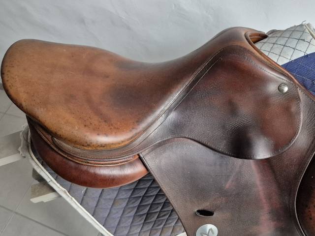 Selle CSO Meyer 17'