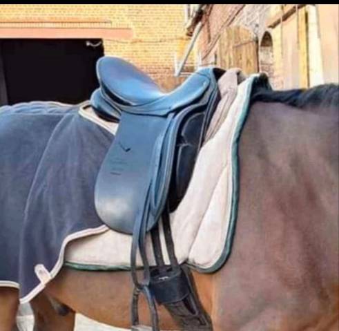 Selle dressage stubben 17"