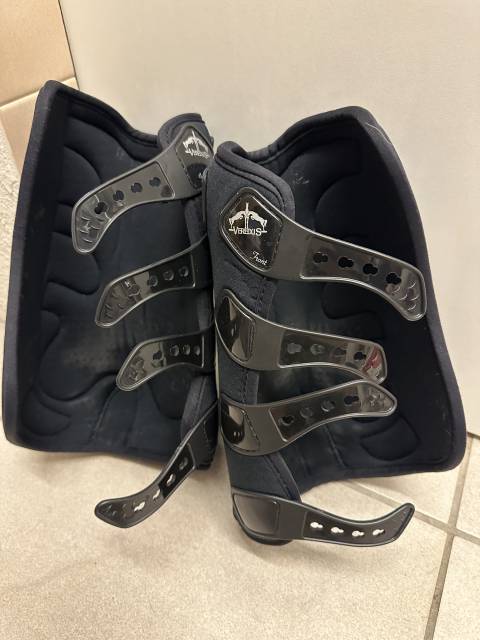 Gu&ecirc;tres veredus piaffe evo