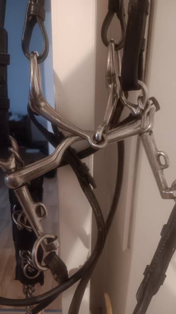 Bride cheval &agrave; vendre 