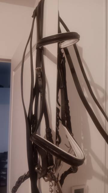 Bride cheval &agrave; vendre 