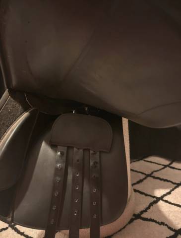 Selle d&rsquo;&eacute;quitation + &eacute;trivi&egrave;res