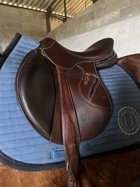 Selle Antares connexion 