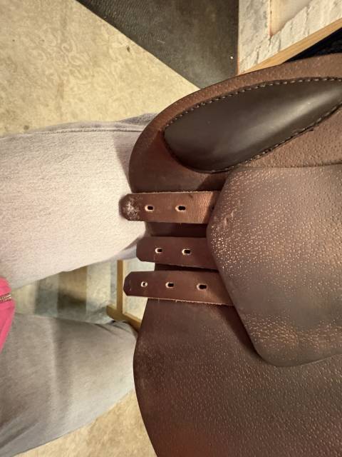 Selle prestige Michel Robert 