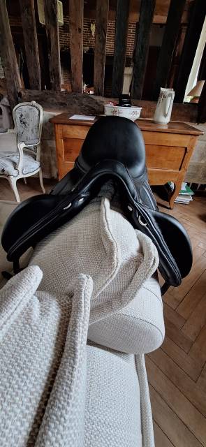 Selle Antares mod&egrave;le Cadence de 2022