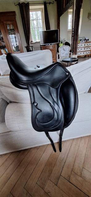 Selle Antares mod&egrave;le Cadence de 2022