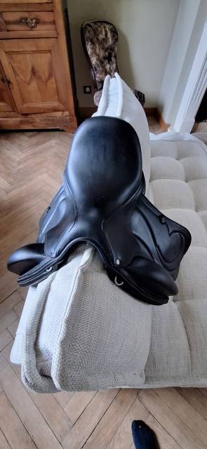 Selle Antares mod&egrave;le Cadence de 2022