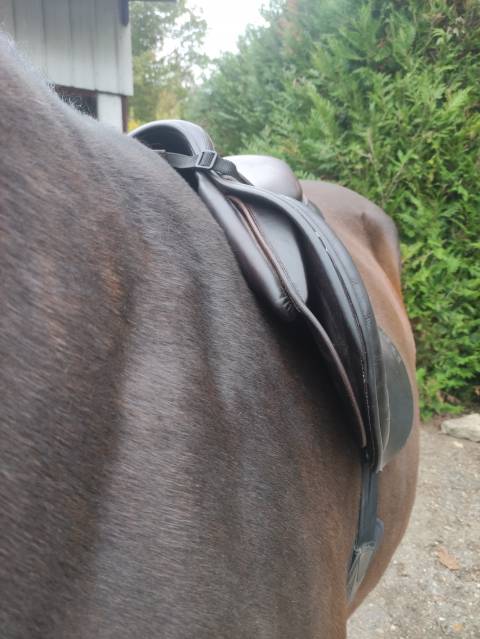 Selle Devouvoux Biarritz 17,5 