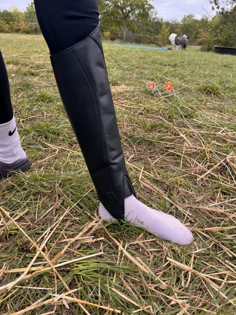 Chaps tredstep neuve jamais port&eacute; 